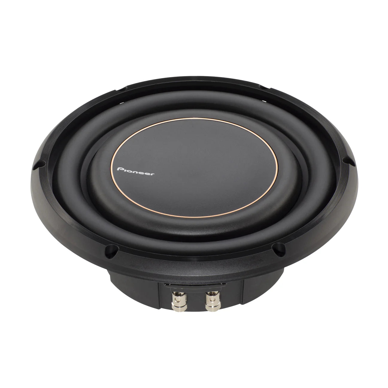 Pioneer TS-D10LS2