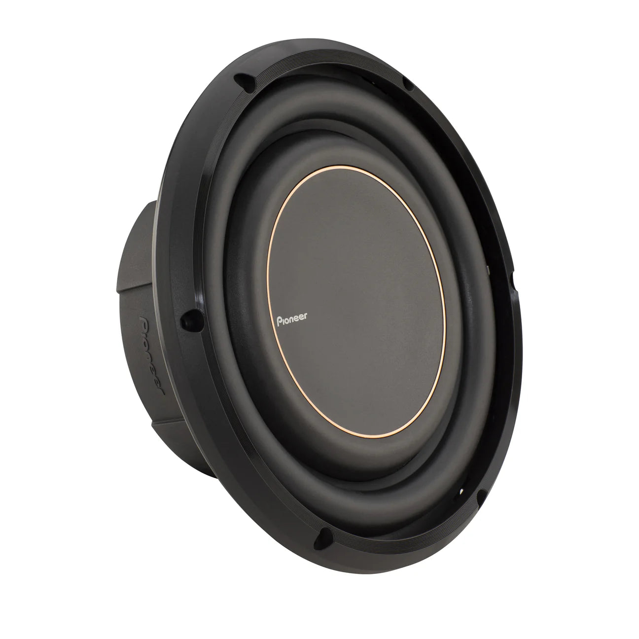 Pioneer TS-D10LS2