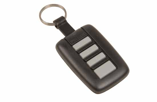 Cargard Remote Control 600299