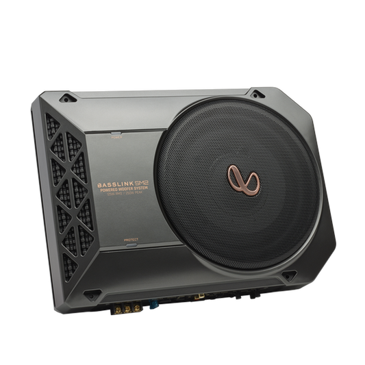 Infinity Basslink SM2