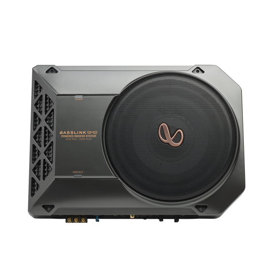 Infinity Basslink SM2