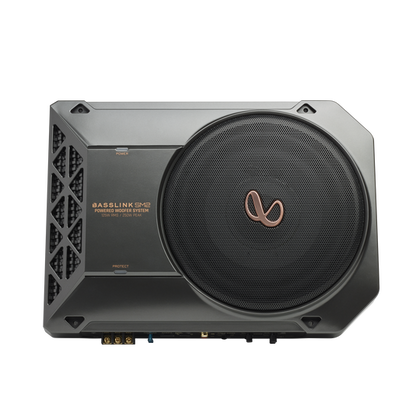 Infinity Basslink SM2