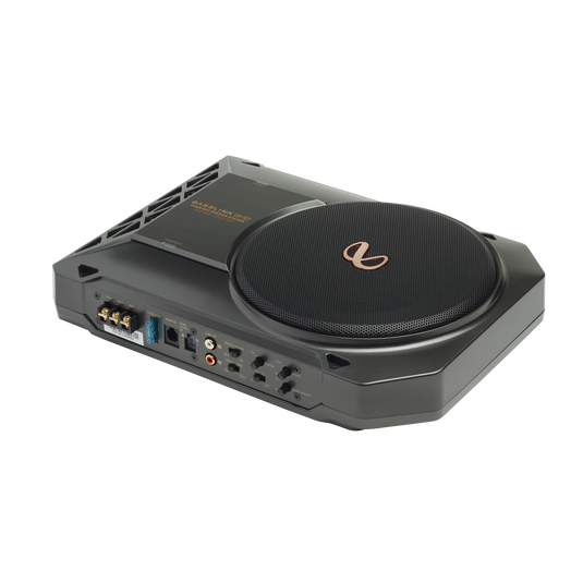 Infinity Basslink SM2