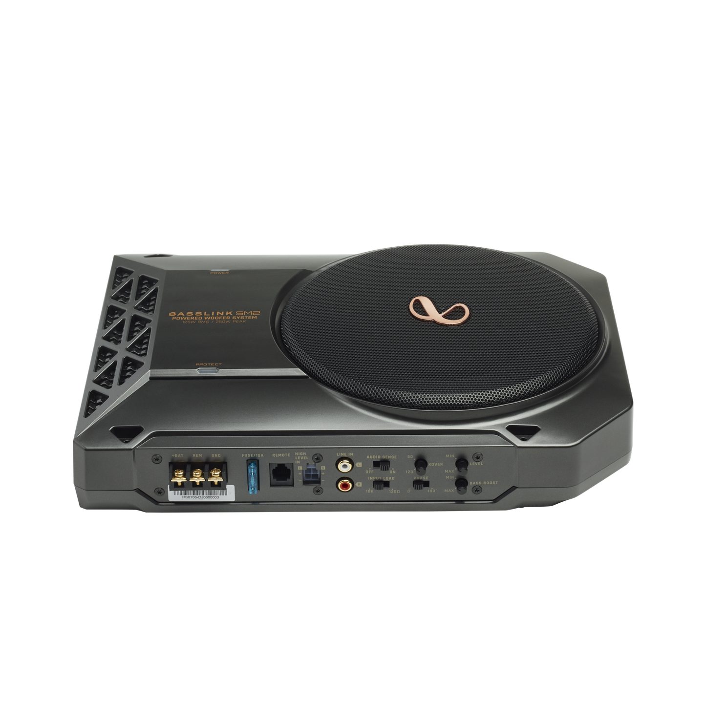 Infinity Basslink SM2