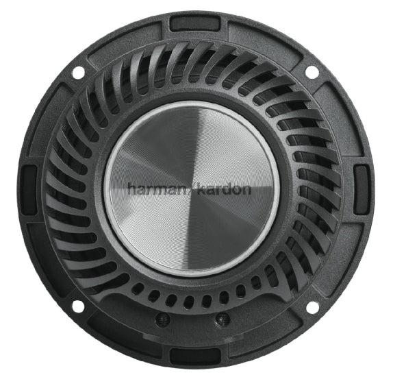 Harman Kardon FLOW 300S