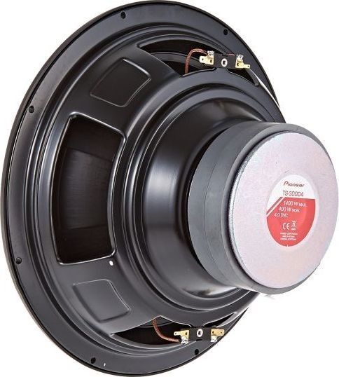 Pioneer TS-300D4