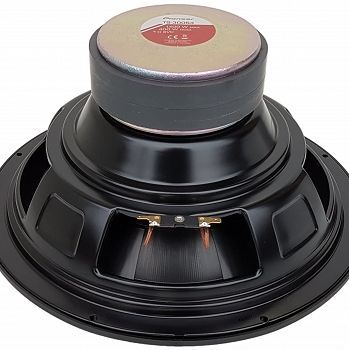 Pioneer TS-300D4